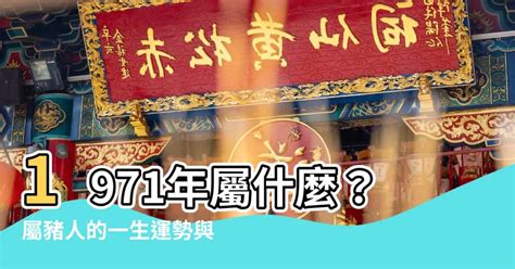 1971屬豬幸運數字|1971年屬豬的吉祥數字 福財相伴運勢佳